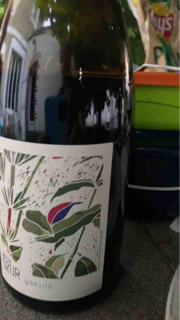 Gamins - Domaine de la Petite Soeur - Adrien de Mello 