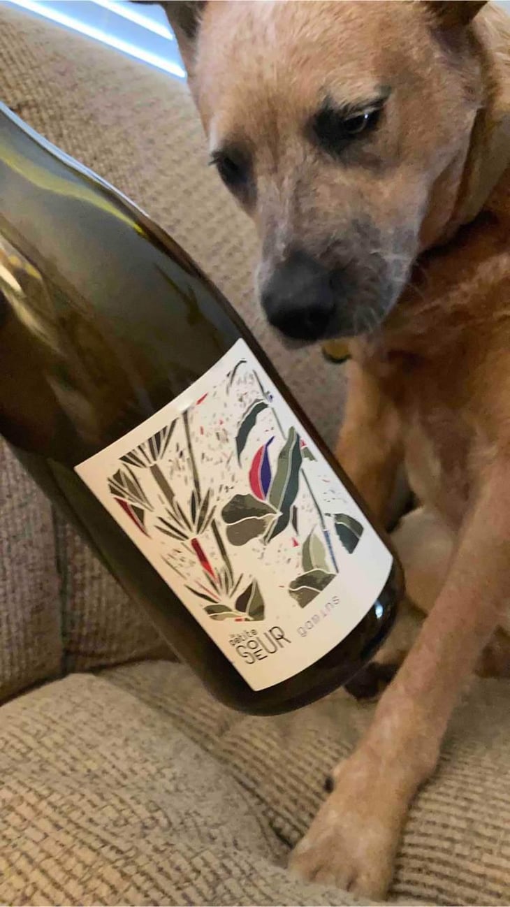 Gamins - Domaine de la Petite Soeur - Adrien de Mello 