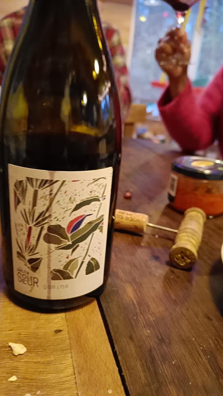 Gamins - Domaine de la Petite Soeur - Adrien de Mello 