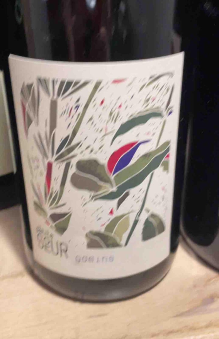 Gamins - Domaine de la Petite Soeur - Adrien de Mello 