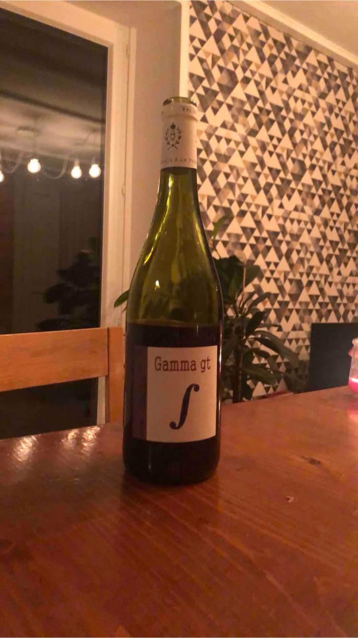 Gamma GT - Domaine Saurigny - Jérôme Saurigny 