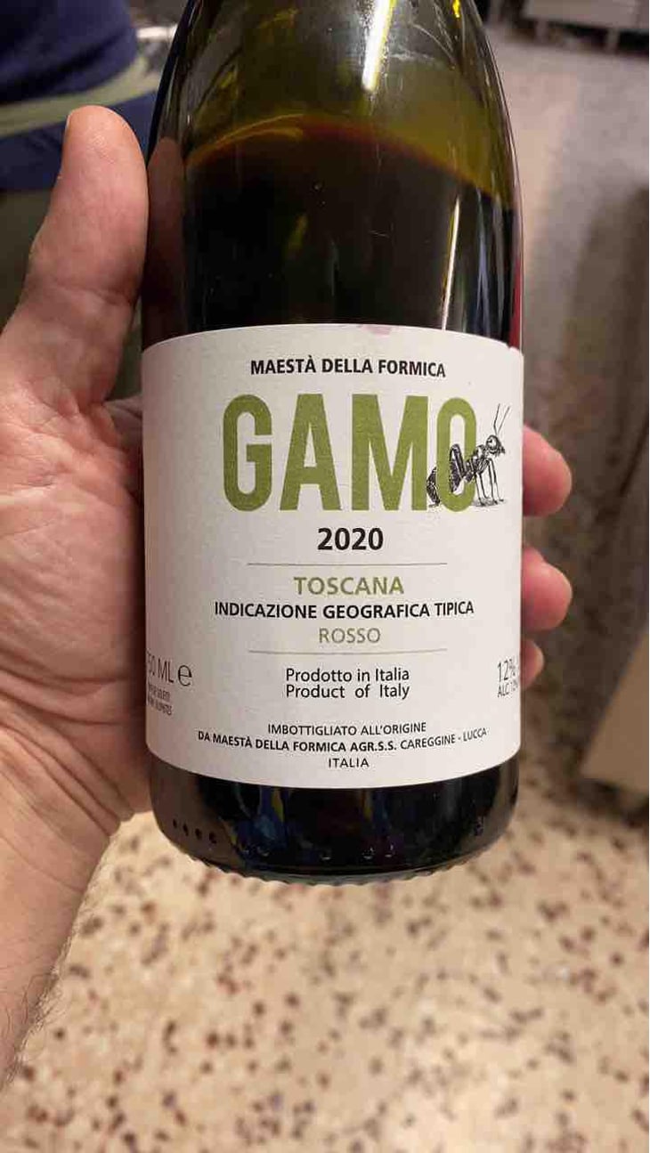 Gamo - Maestà Della Formica - Andrea Elmi, Gian Luca Guidi & Marco Raffaelli 