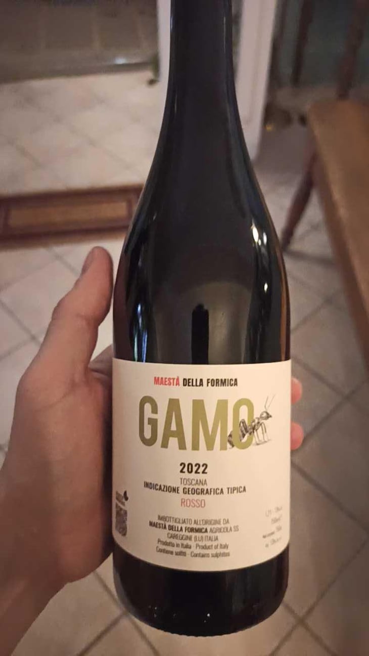 Gamo - Maestà Della Formica - Andrea Elmi, Gian Luca Guidi & Marco Raffaelli 