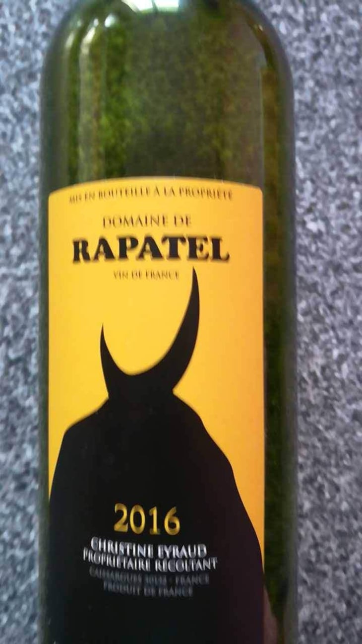 Gard Blanc - Domaine de Rapatel - Gérard Eyraud --1