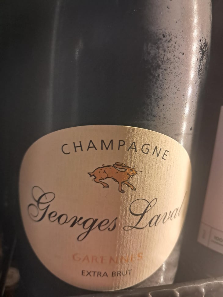 Garennes Extra Brut - Champagne Georges Laval - Mathilde et Vincent Laval 