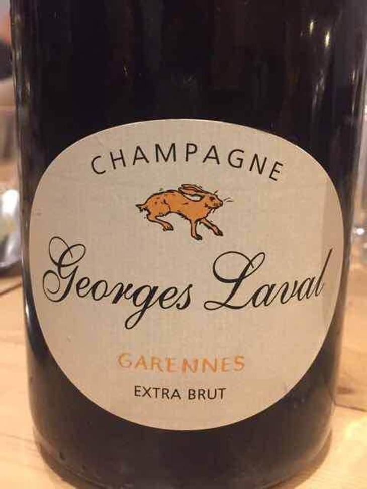 Garennes Extra Brut - Champagne Georges Laval - Mathilde et Vincent Laval 