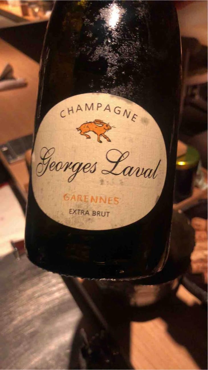 Garennes Extra Brut - Champagne Georges Laval - Mathilde et Vincent Laval 