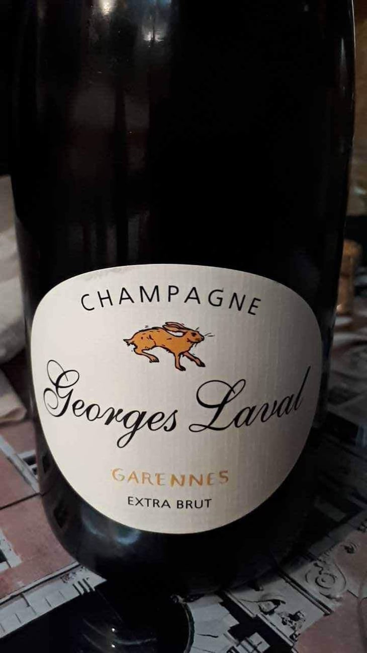 Garennes Extra Brut - Champagne Georges Laval - Mathilde et Vincent Laval 