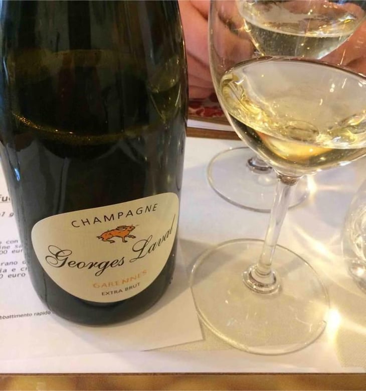 Garennes Extra Brut - Champagne Georges Laval - Mathilde et Vincent Laval 