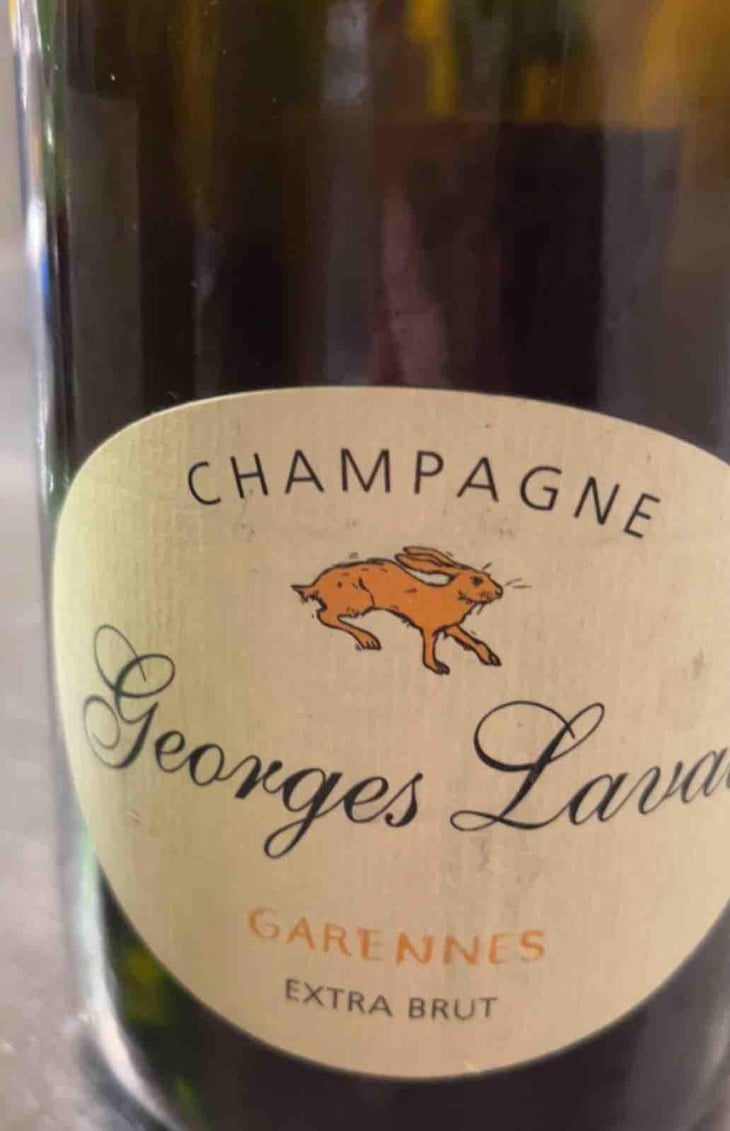 Garennes Extra Brut - Champagne Georges Laval - Mathilde et Vincent Laval 