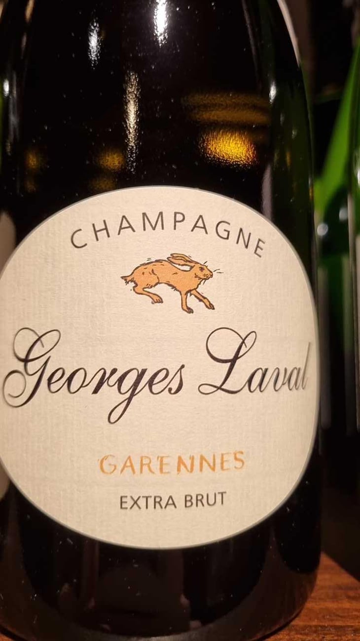 Garennes Extra Brut - Champagne Georges Laval - Mathilde et Vincent Laval 