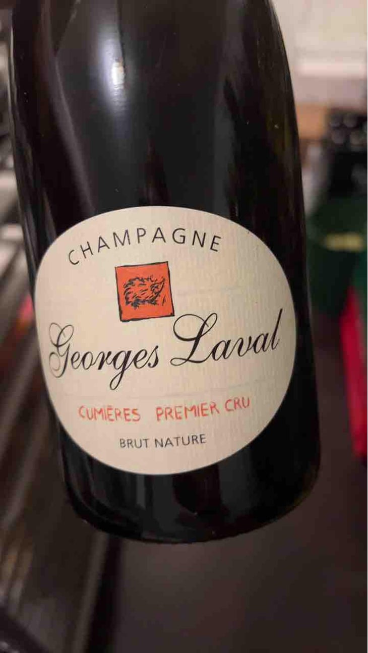 Garennes Extra Brut - Champagne Georges Laval - Mathilde et Vincent Laval 