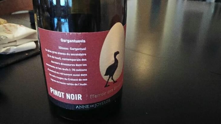 Gargantuavis - Terroir Des Dinosaures - Anne De Joyeuse 