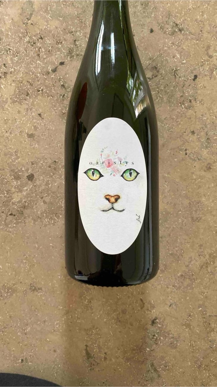 Gato - Mas guallar - Camila Opazo -2023