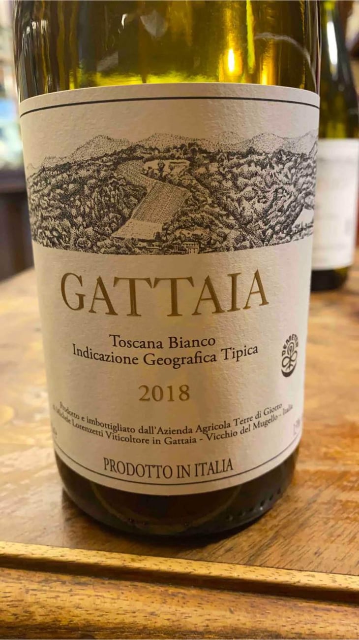 Gattaia Chenin Blanc - Terre di Giotto - Michele Lorenzetti 