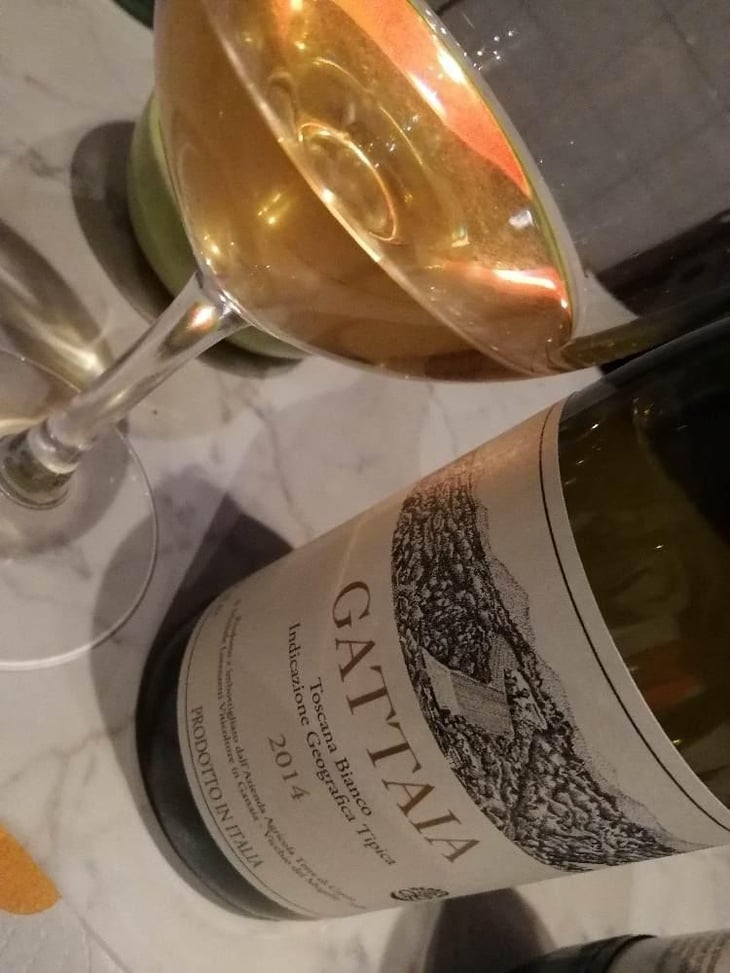 Gattaia Chenin Blanc - Terre di Giotto - Michele Lorenzetti 