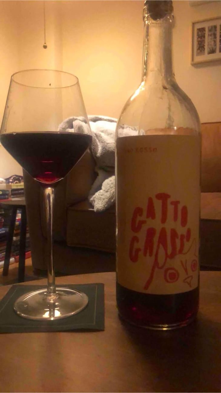 Gatto Grosso - Cantina Viticoltori Senesi Aretini - Mery Ferrara 