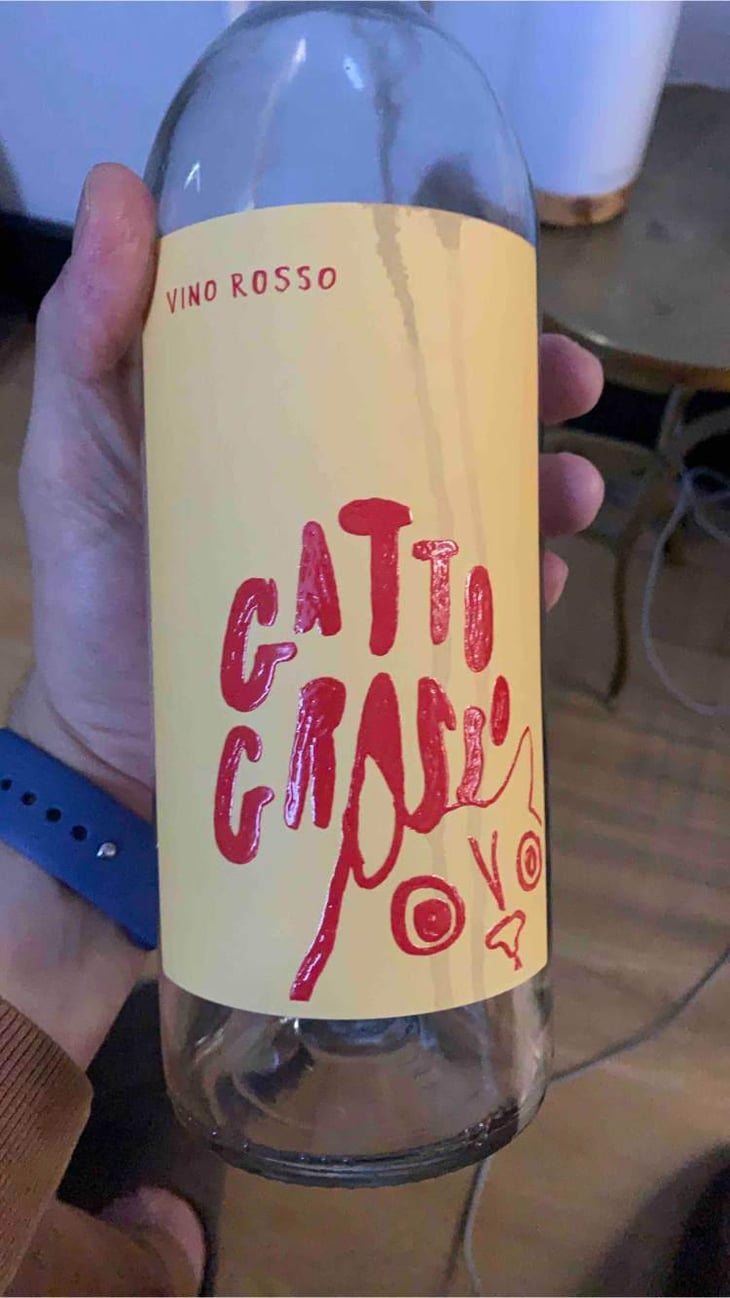 Gatto Grosso - Cantina Viticoltori Senesi Aretini - Mery Ferrara 