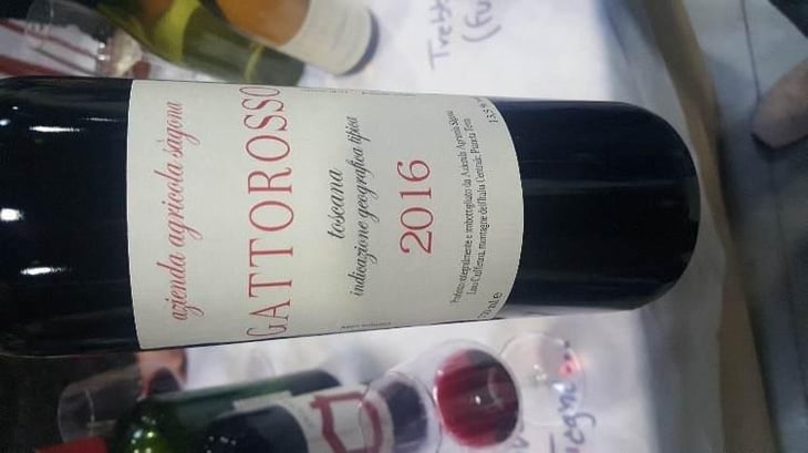 Gattorosso - Sagona - Daniele Corrotti -2022