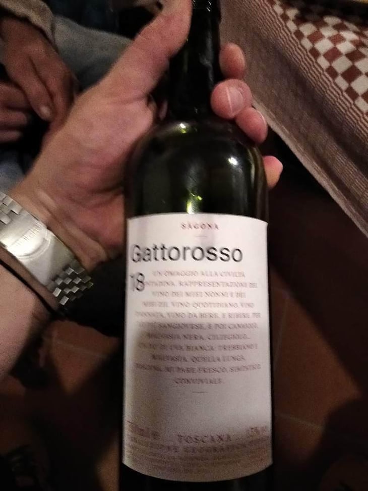 Gattorosso - Sagona - Daniele Corrotti -2022