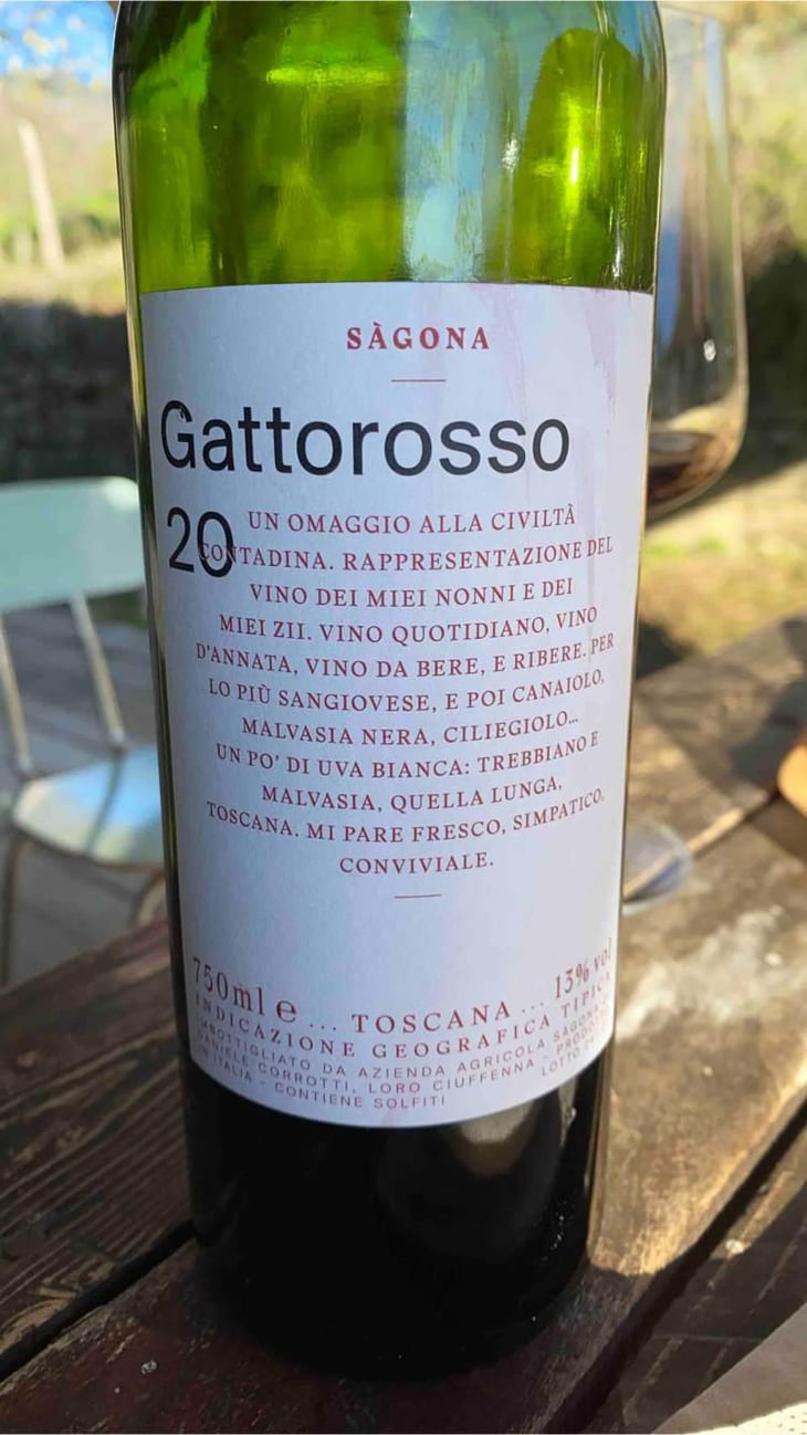 Gattorosso - Sagona - Daniele Corrotti -2022