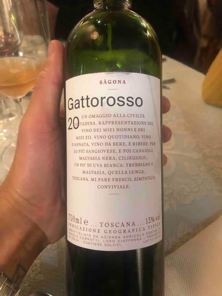 Gattorosso - Sagona - Daniele Corrotti -2022
