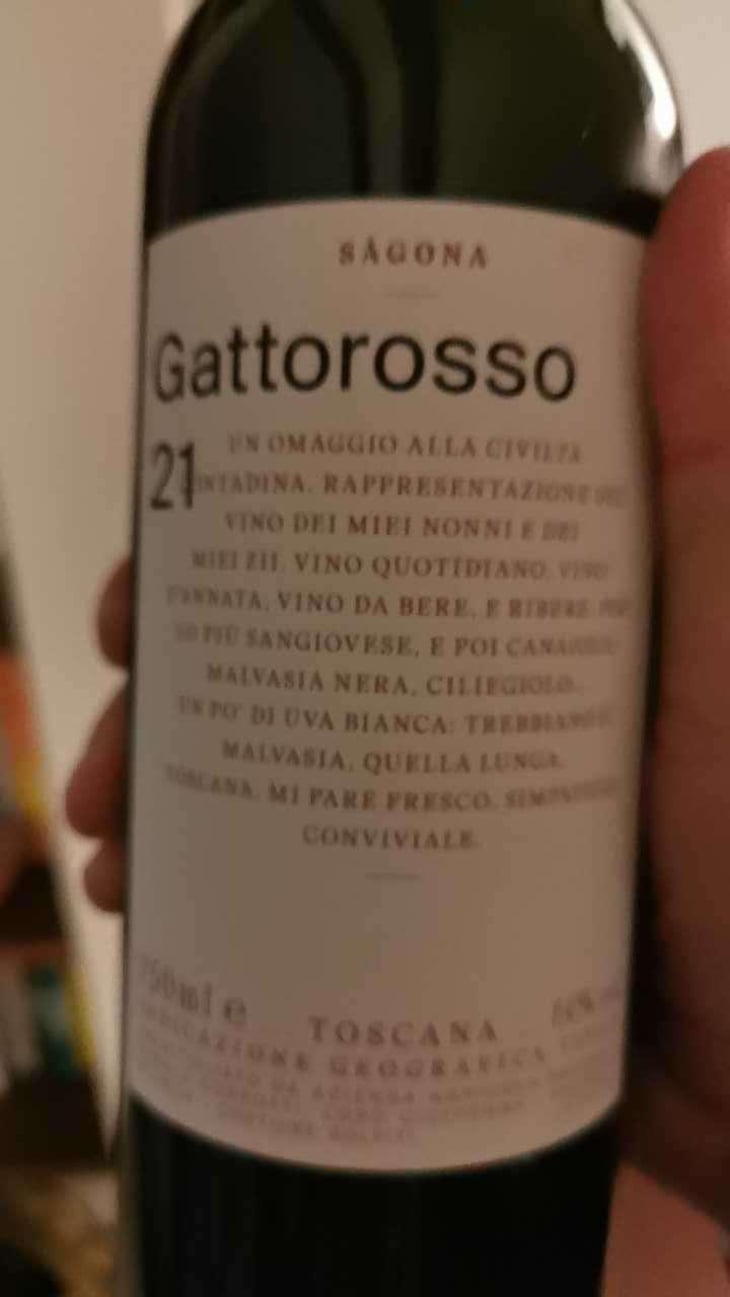 Gattorosso - Sagona - Daniele Corrotti -2022