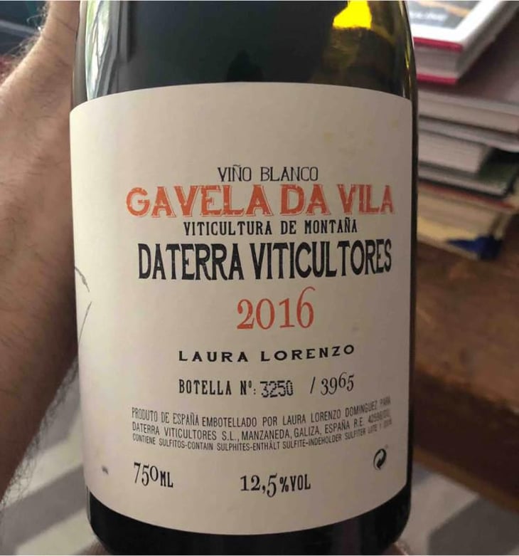 Gavela de Vila - Daterra Viticultores - Laura Lorenzo Dominguez 