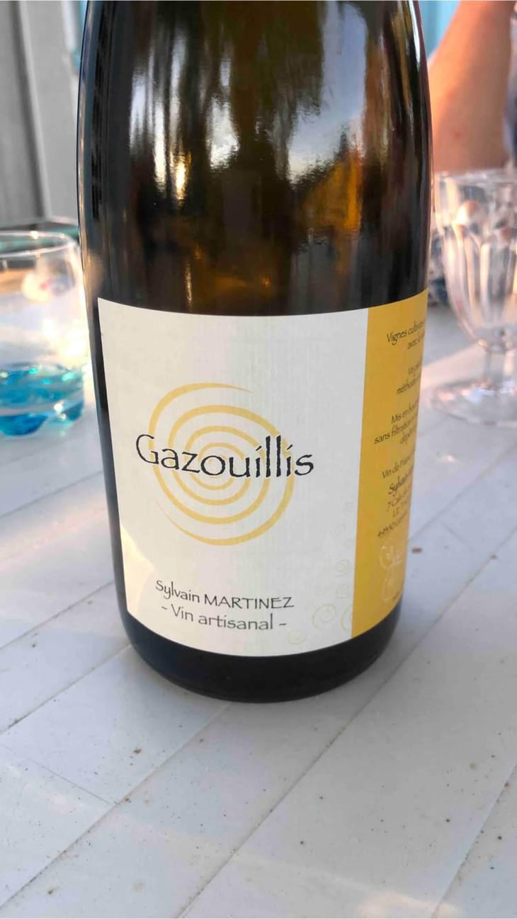Gazouillis - Sylvain Martinez - Sylvain Martinez 