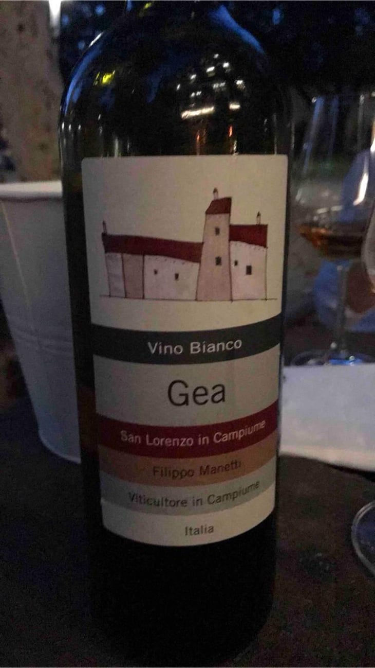 Gea - Vigne di San Lorenzo - Filippo Manetti 