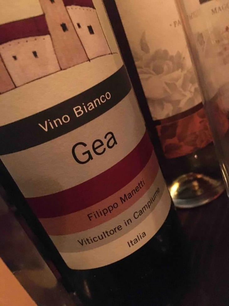 Gea - Vigne di San Lorenzo - Filippo Manetti 