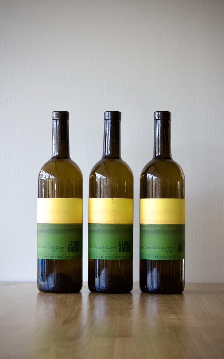 Gelber Muskateller vom Opok - Weingut Muster - Maria & Sepp Muster 
