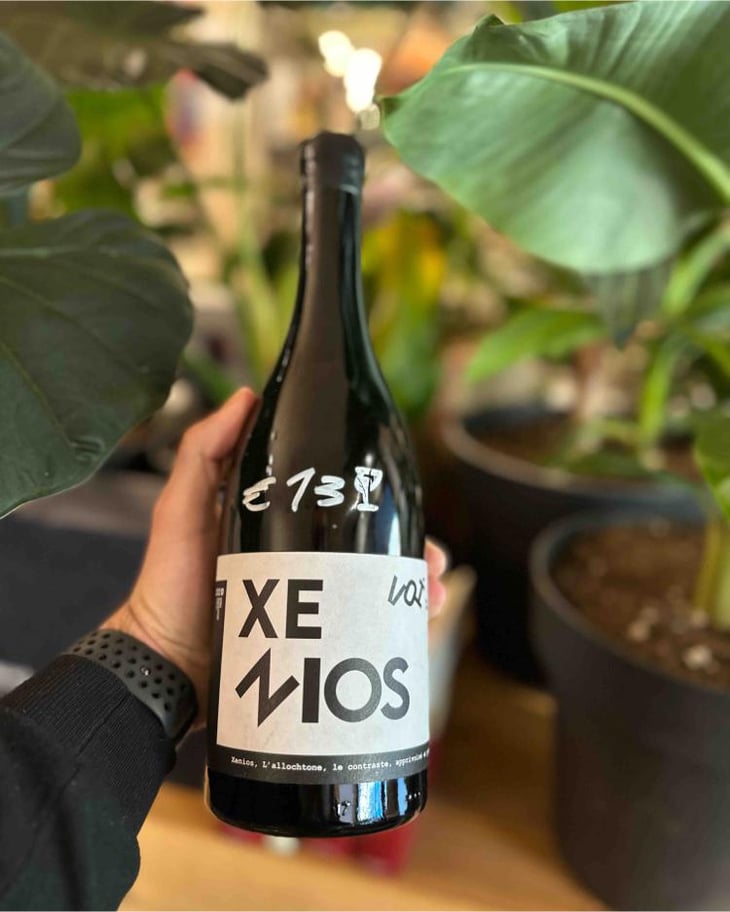 Xenios - Voï - Jason Ligas 