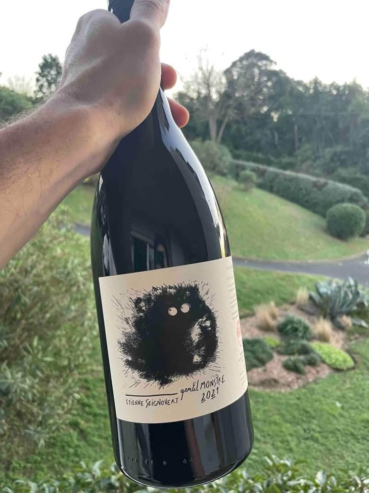 Gentil Monstre - Domaine Etienne Seignovert - Etienne Seignovert 