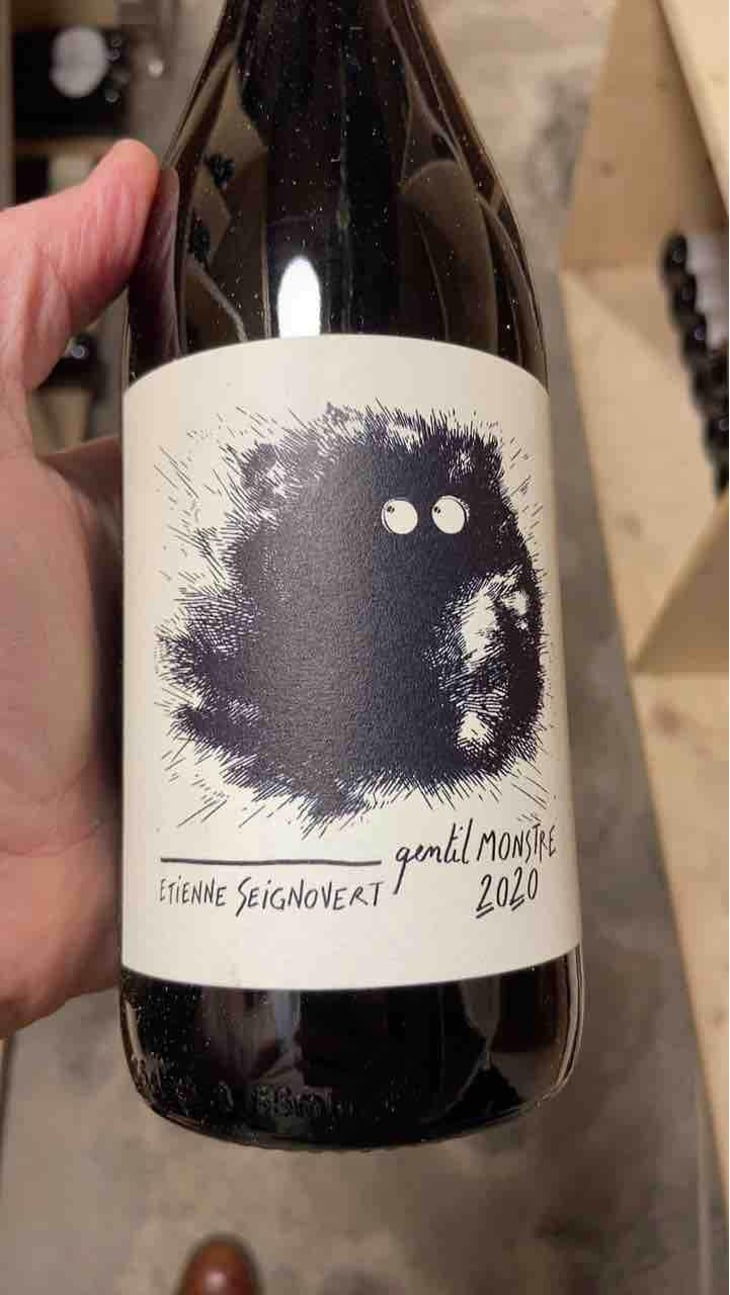 Gentil Monstre - Domaine Etienne Seignovert - Etienne Seignovert 
