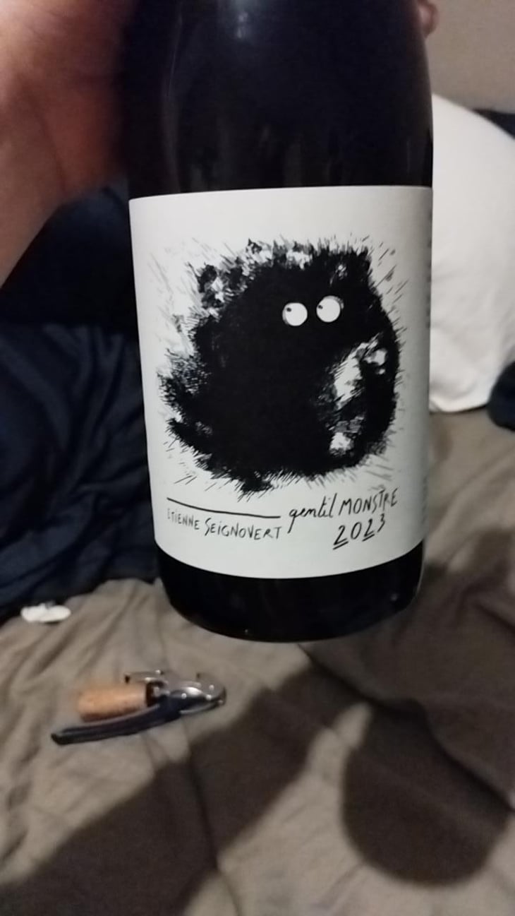 Gentil Monstre - Domaine Etienne Seignovert - Etienne Seignovert 