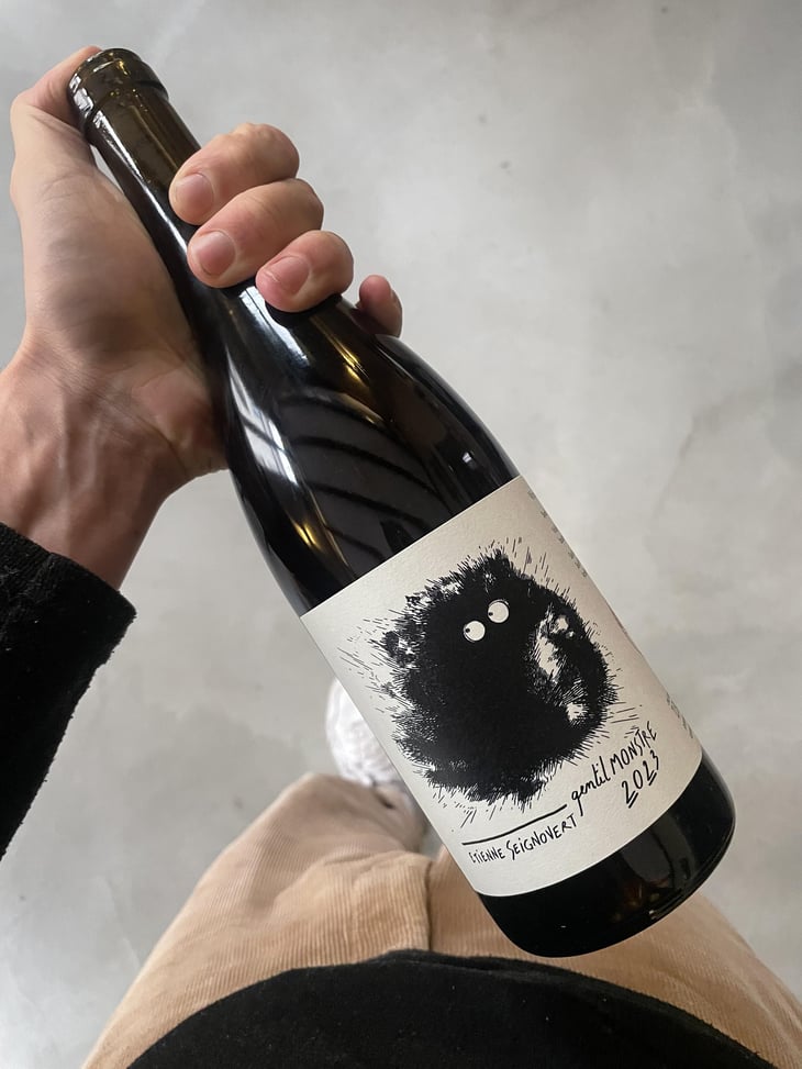 Gentil Monstre - Domaine Etienne Seignovert - Etienne Seignovert 