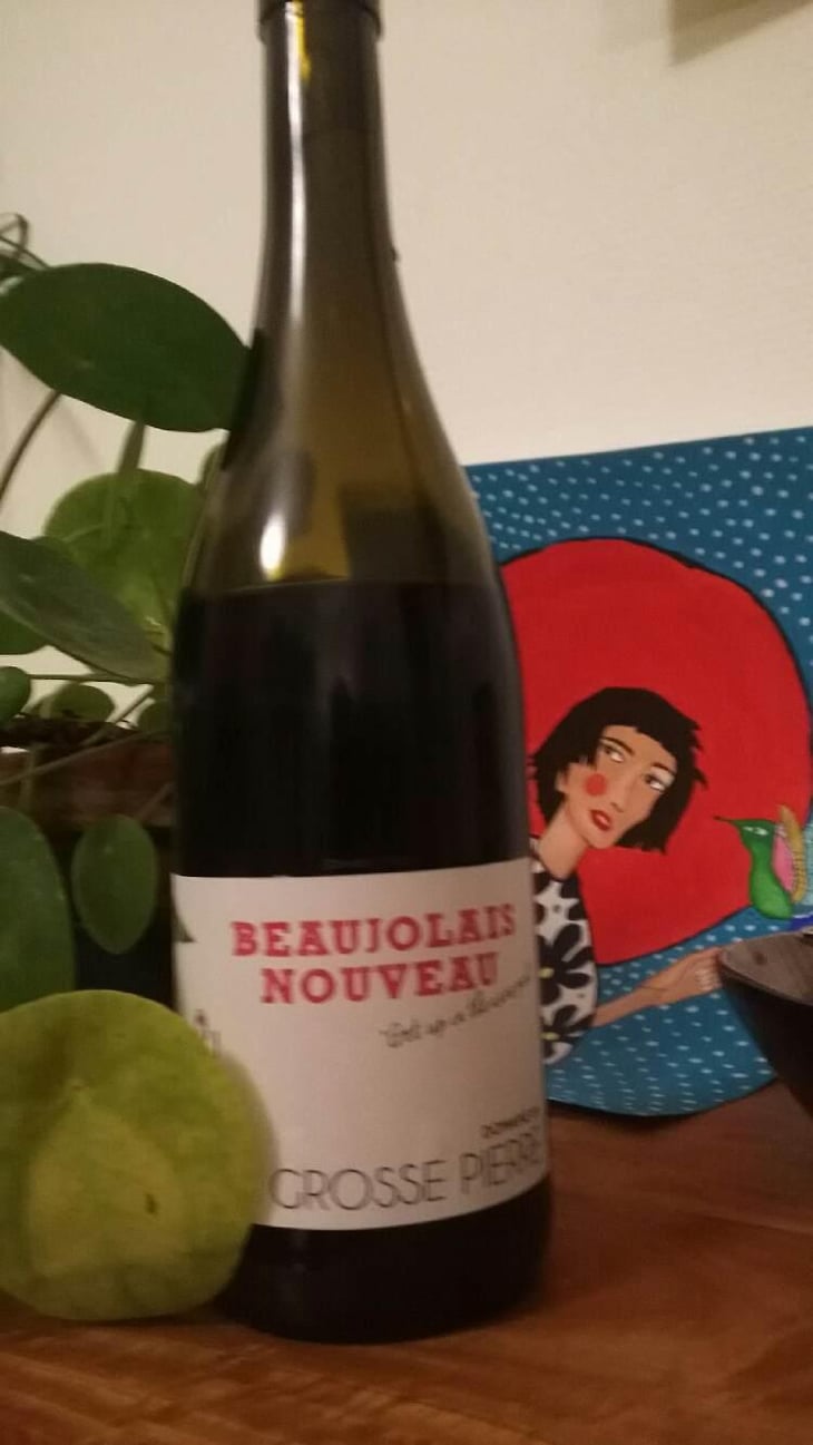 Beaujolais Get Up In The Wine Pool - Domaine de La Grosse Pierre - Pauline Passot 