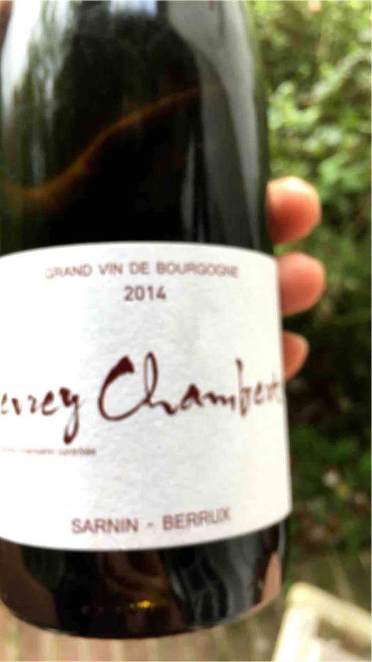 Gevrey Chambertin - Sarnin-Berrux - Jean-Pascal Sarnin & Jean-Marie Berrux 