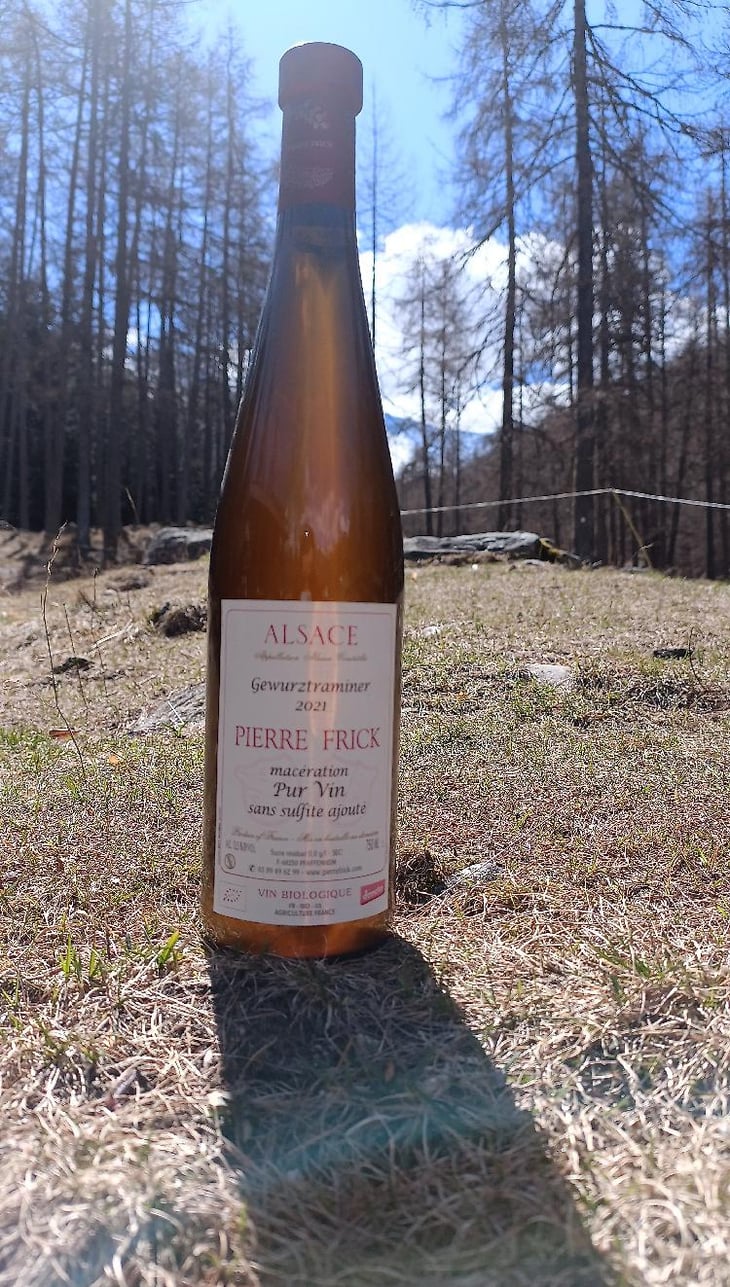 Gewurztraminer - Domaine Pierre Frick - Jean-Pierre, Chantal et Thomas Frick 
