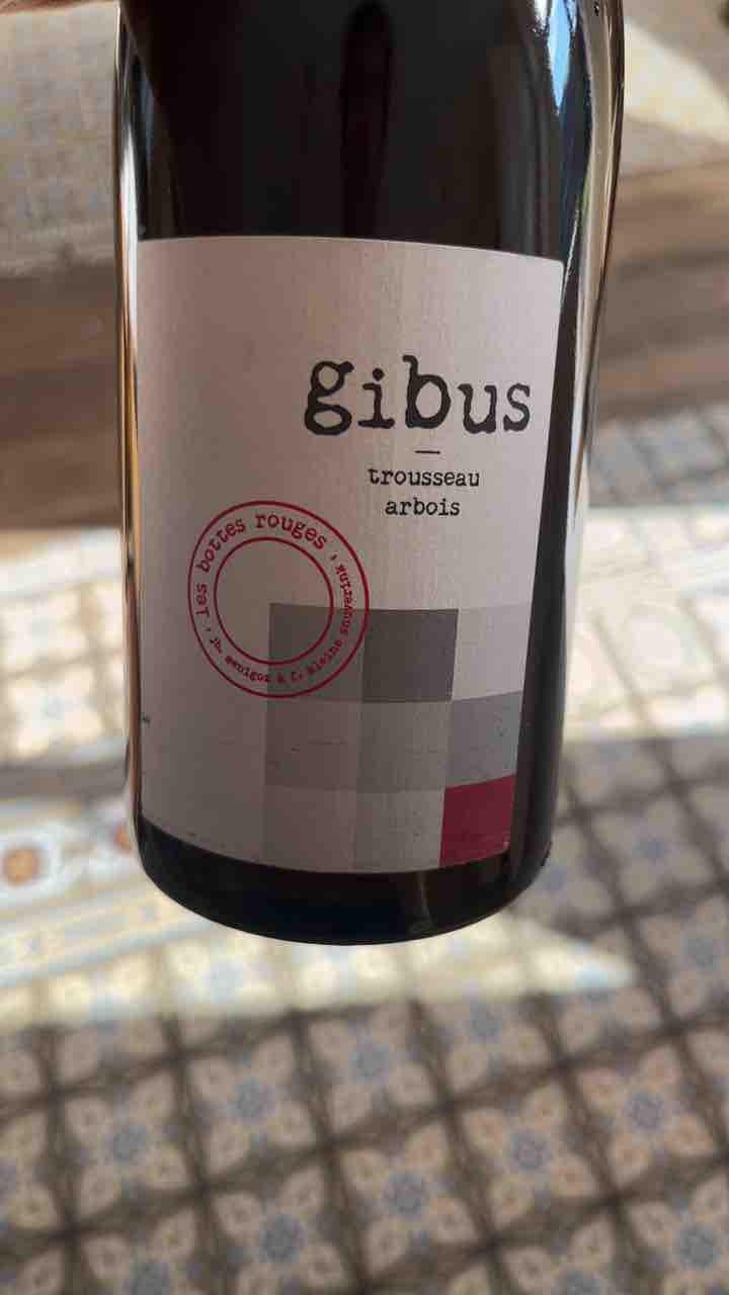 Gibus - Les Bottes Rouges - Florien Klein Snuverink & Jean-Baptiste Menigoz 