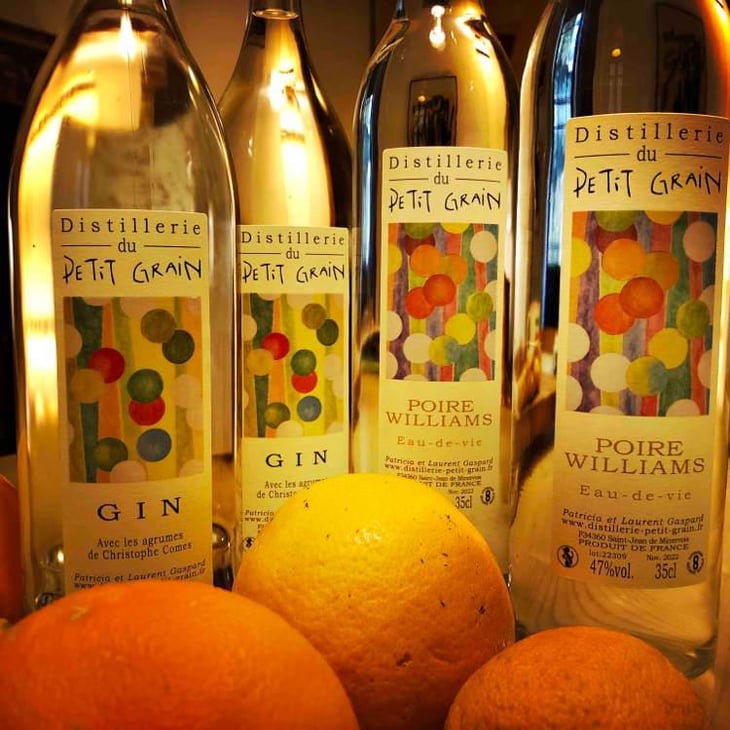 Gin Aux Agrumes - Distillerie Du Petit Grain (SPIRITS) - Laurent Gaspard 