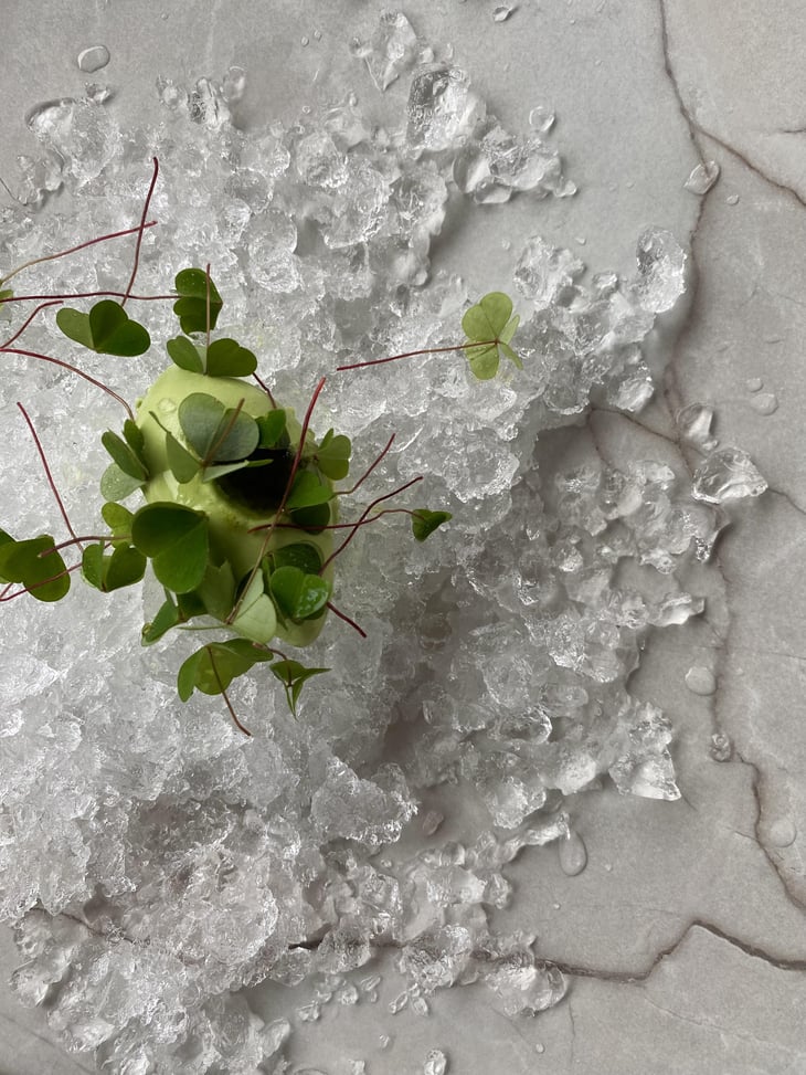 Glace Oxalis - La Ferme de Cupelin - 744813