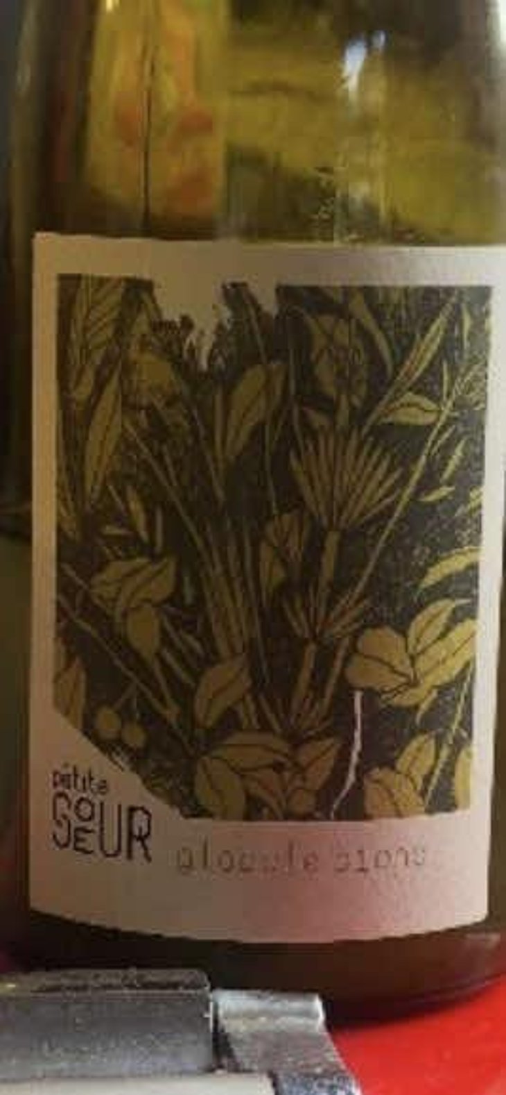 Globule Blanc - Domaine de la Petite Soeur - Adrien de Mello 