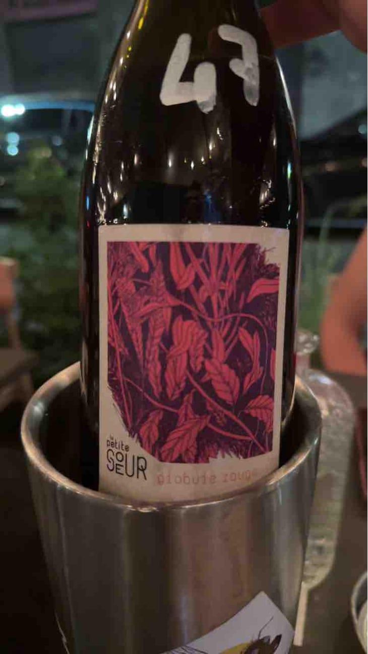 Globule Rouge - Domaine de la Petite Soeur - Adrien de Mello -2019