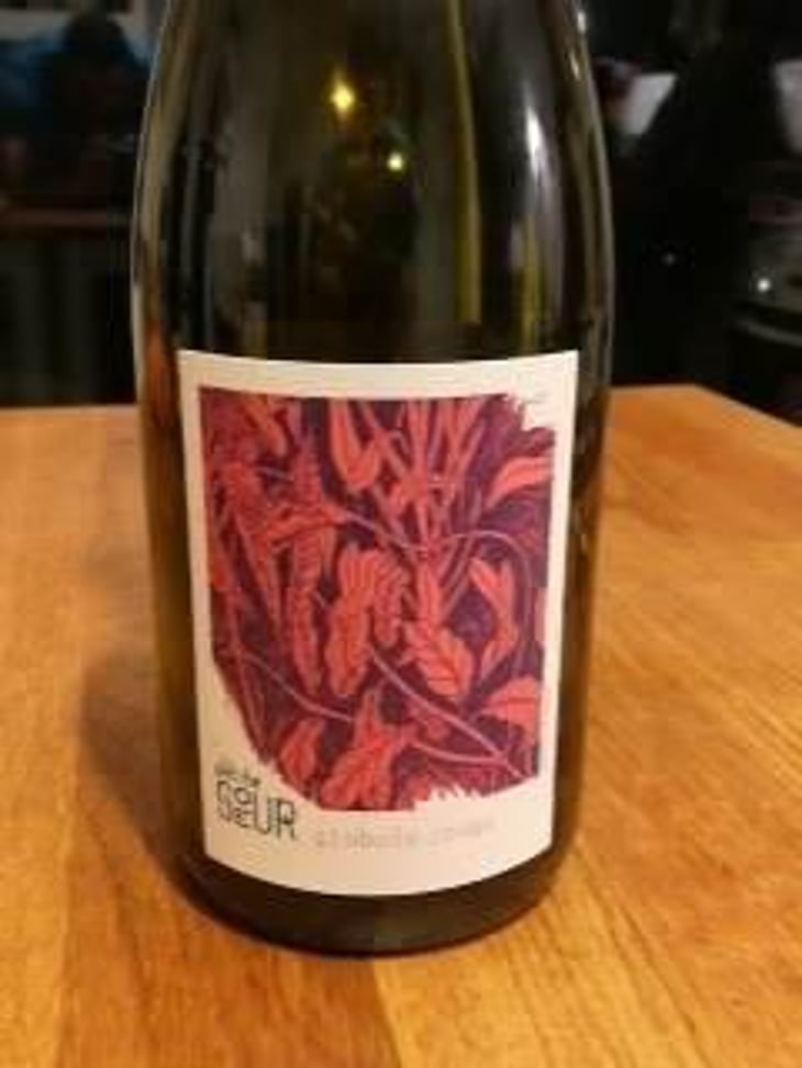 Globule Rouge - Domaine de la Petite Soeur - Adrien de Mello -2019