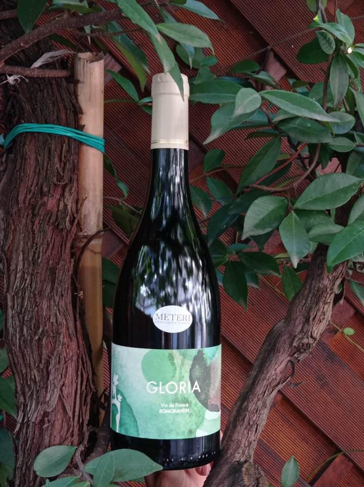 Gloria - Domaine de Montcy - Vincent Hayer 