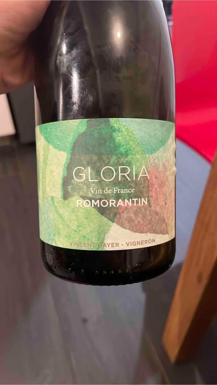 Gloria - Domaine de Montcy - Vincent Hayer 