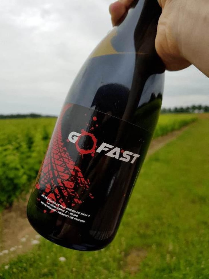 Go Fast - Domaine de la Petite Soeur - Adrien de Mello 