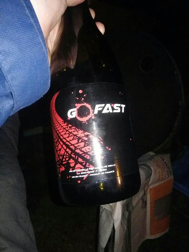 Go Fast - Domaine de la Petite Soeur - Adrien de Mello 